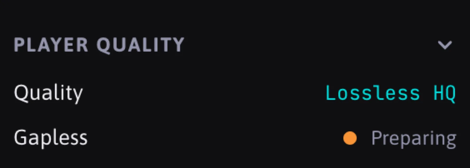 The Player quality section: Quality Lossless HQ, Gapless Preparing