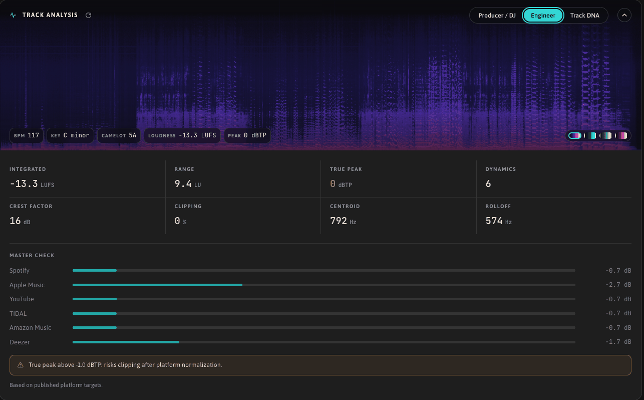 track analysis, engineer tab with loudness and master check